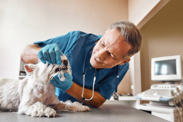 Best After-Hours Emergency Dentist in Greenacres, FL